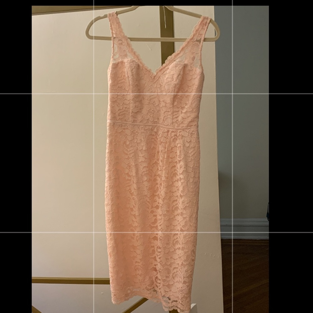 David’s Bridal Lace Bridesmaid Dress in blush